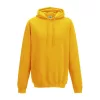 COLLEGE HOODIE