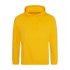 COLLEGE HOODIE