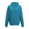 COLLEGE HOODIE