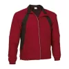 Wind Breaker Boston