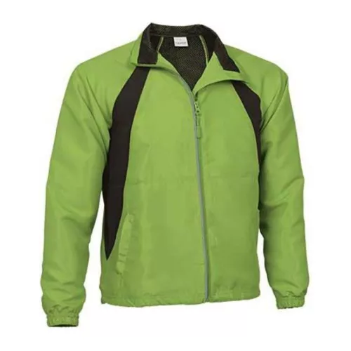 Wind Breaker Boston