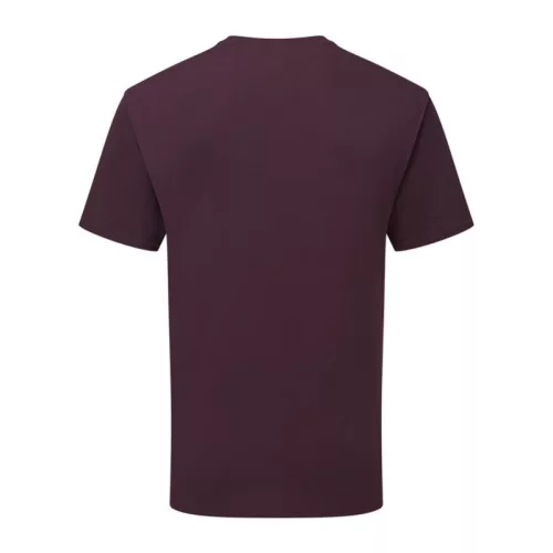 Pure Cotton T 