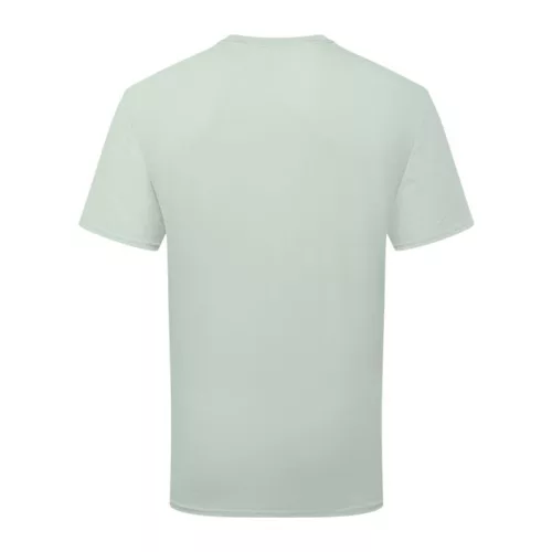 Pure Cotton T 