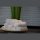 OLIMA HOTEL QUALITY HAND/FACE TOWEL