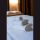 Olima High-Quality Hotel Towel